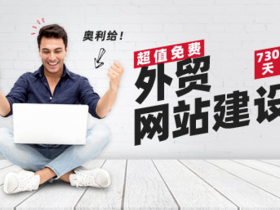 免费外贸网站建设,维多网络帮你