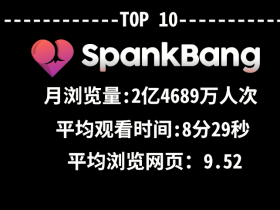 你上过的网站,排名第几?